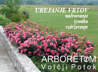 Arboretum urejanje vrtov